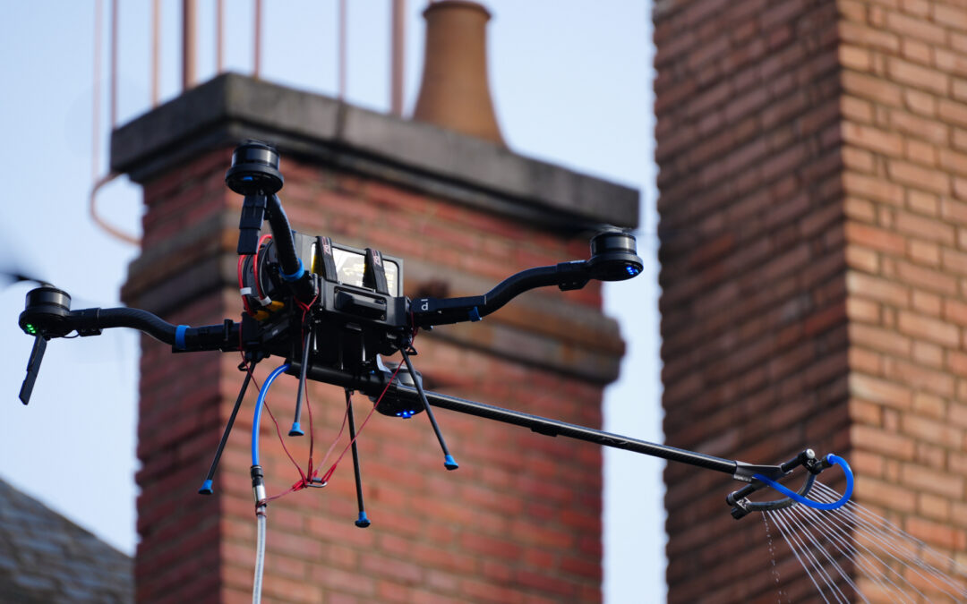 Les métiers du Cormoran : focus sur le démoussage de toiture par Drone